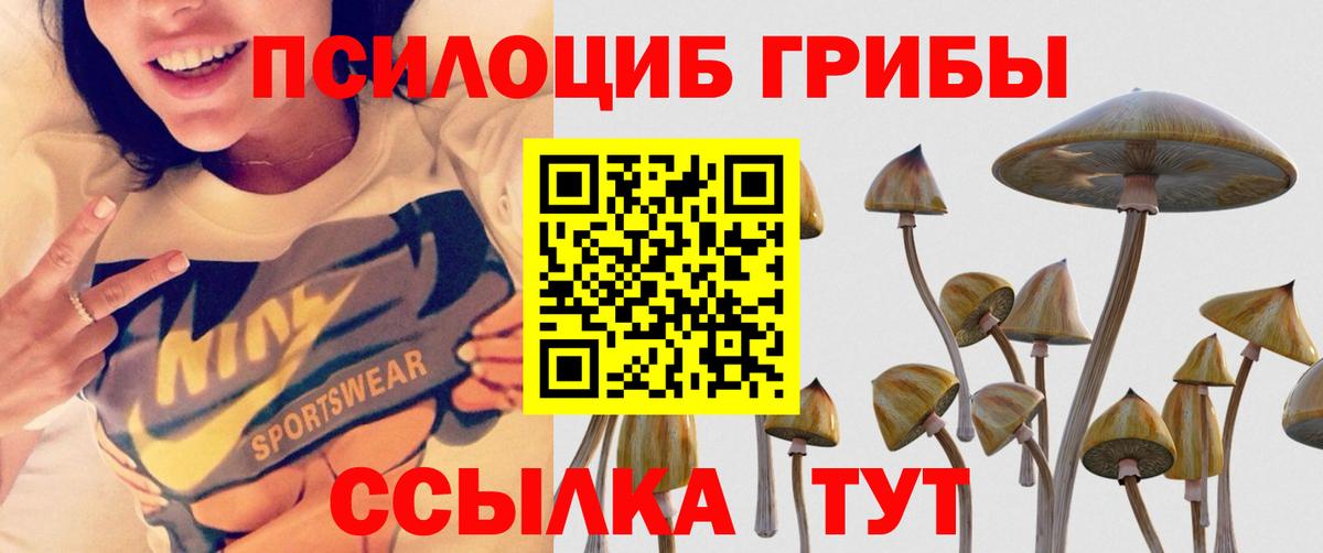 Галлюциногенные грибы мицелий  Вход с VPN  Большой Камень 